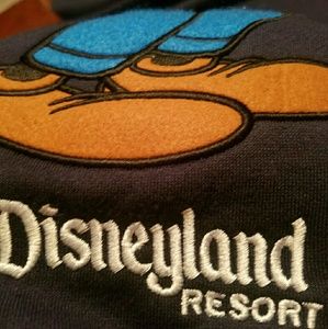 Walt Disneyland Hoodie w/ Zipper